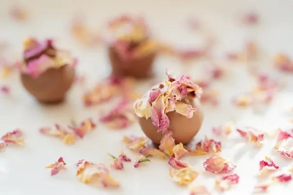 كازينو تشيللي سبينز تطبيق أندرويد/آي أو إس